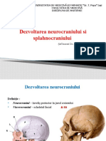 Curs 2 - Dezvoltarea Neurocraniului