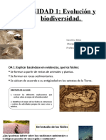 Clase 6 El Origen de La Biodiversidad