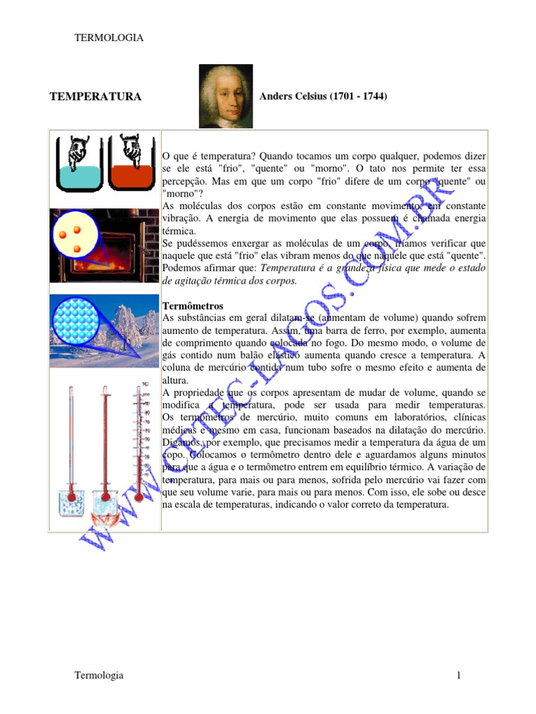 Conceitos Fundamentais de Termologia | PDF | Calor | Temperatura