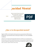 Discapacidad Mental (1)