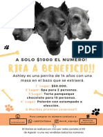 Afiche Rifa