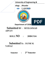 Submitted NO Submitted: Lab DLD