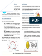 12. Protección de La Cabeza El Casco de Seguridad