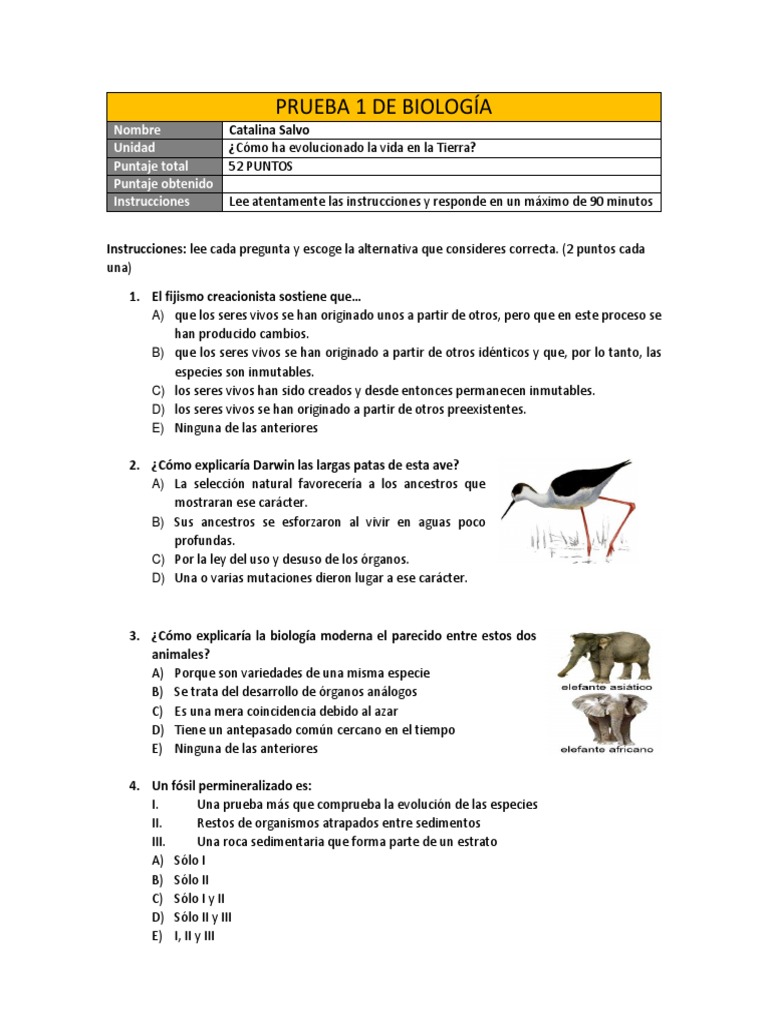 qualitative data analysis coding and thematic analysis