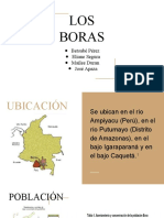 Los Boras