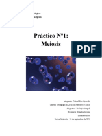 Práctico N°1: Meiosis: Facultad de Cs. Biológicas Universidad de Concepción