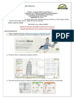 P #6 - Caída Libre