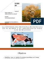 Tarea 4 _ Sustentación.