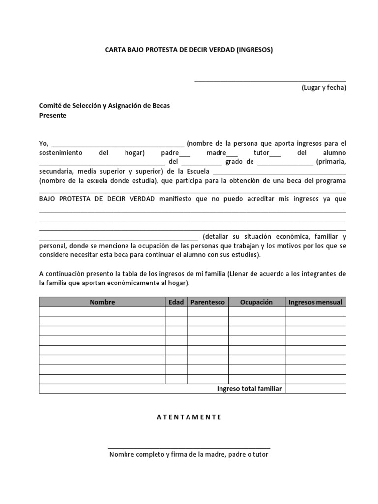 Carta Bajo Protesta de Decir Verdad | PDF
