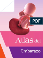 Atlas Embarazo