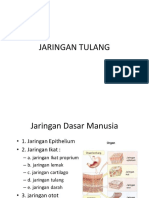 Struktur Jaringan Echa