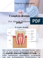 Complexo Dentina Polpa