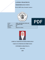 54 - Mida Afifahsari Nur Islami - 195100107111046 - 06 TM