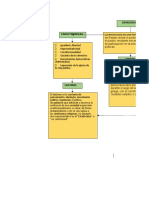 Mapa Conceptual - Democracia