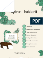 Tapirus Baidarii