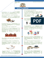 Infografía de DICTAMEN Módulo III Etapa Preparatoria