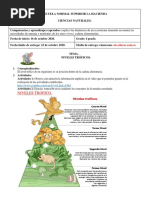 Niveles Tróficos 2021.