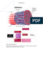 Tejido Muscular