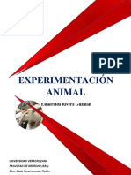 Experimnentacion Animal
