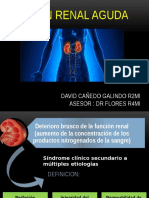 Lesion Renal Aguda Can Edo