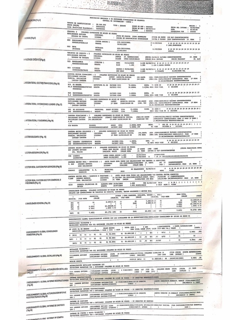 CIFIN - ATA 6 Datacredito Pepa | PDF