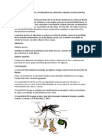 Laboratorio # 2 Insecta Diptera (Moscas%2c Zancudos%2c Tábanos%2c Falsas Avispas)