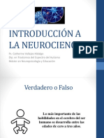 Introducción a la neurociencia en