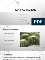 Familia Cactaceae