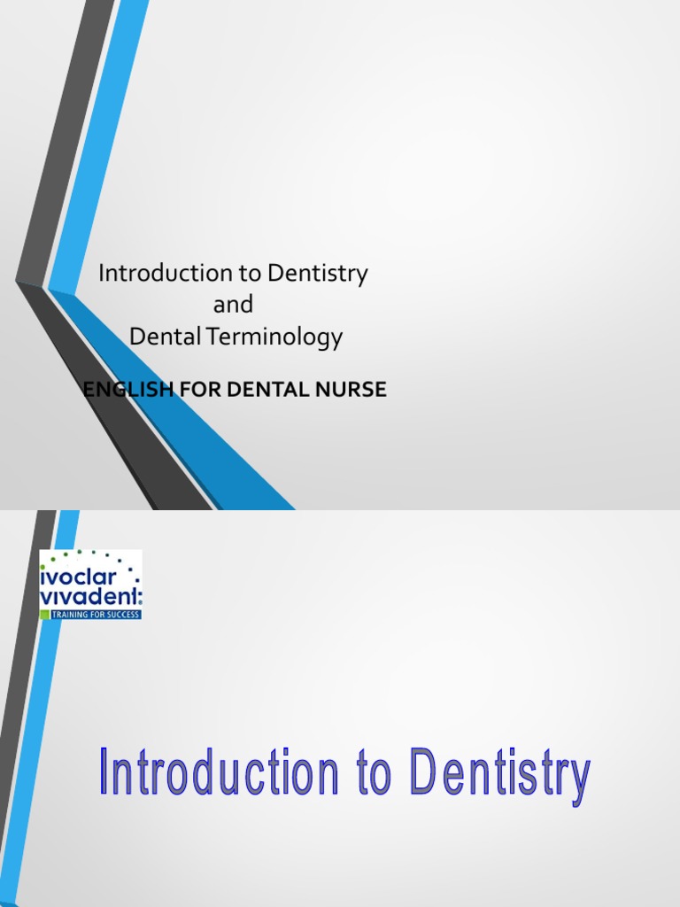 Dental Terminology PDF Dentistry Dentin