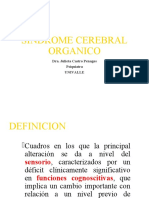 Sindrome Cerebral Organico