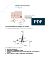 Elektrokardiogram (Ekg) : EKG NORMAL (Normal Sinus Rhythm)