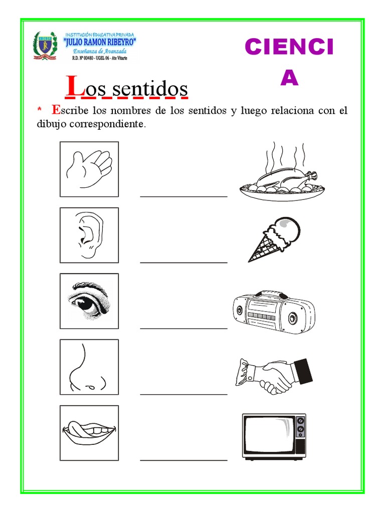 Ficha de trabajo sobre los 5 sentidos | PDF