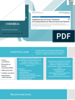 Journal Edema Cerebral