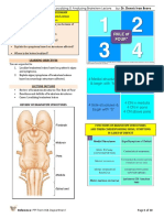 Human Structural Biology: - Localizing & Analyzing Brainstem Lesions By: Dr. Dennis Ivan Bravo