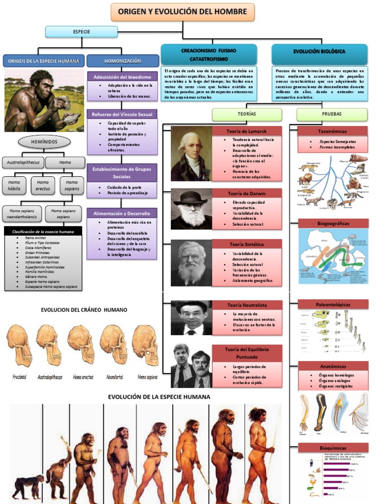 Lectura Origen y Evolución Del Hombre | PDF | Evolución | Homo