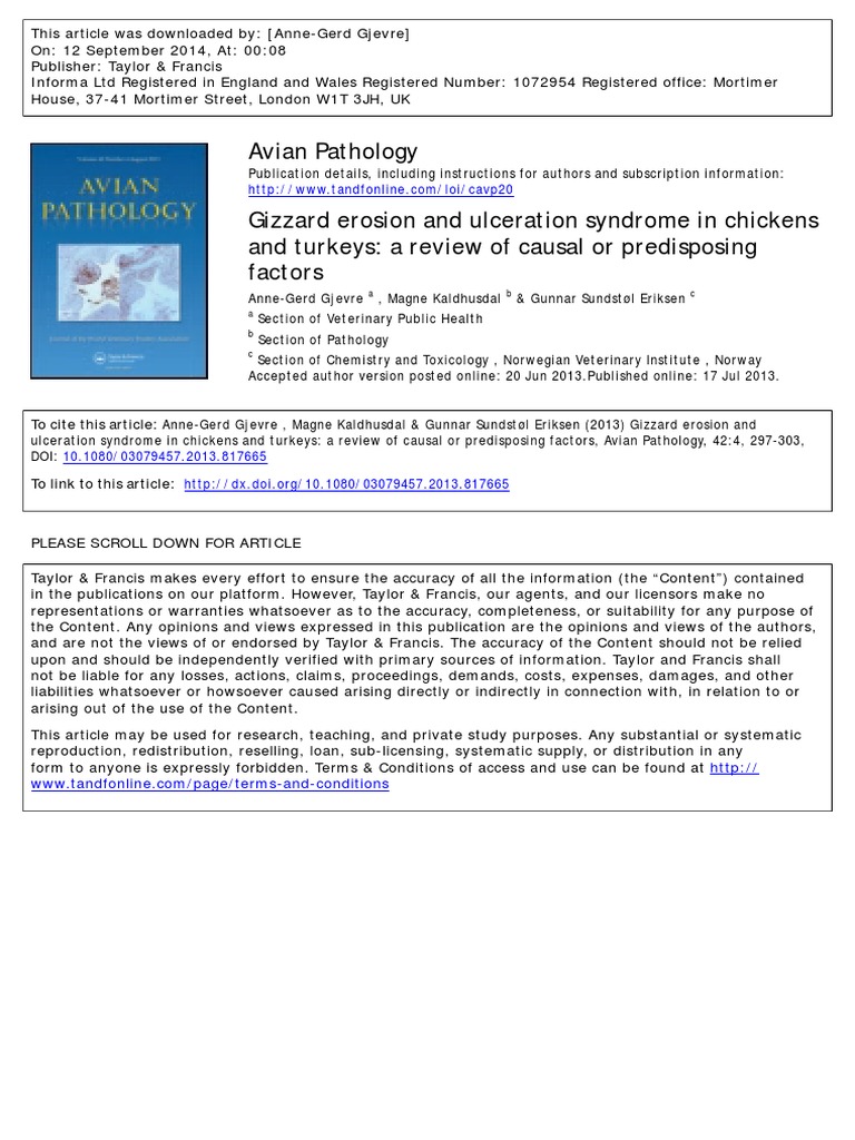 Gizzard Erosion and Ulceration Syndrome in Chickens and Turkeys A