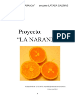 Proyecto LA NARANJA1