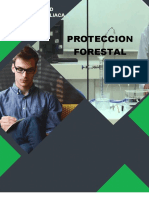 Proteccion Forestal- Analisis