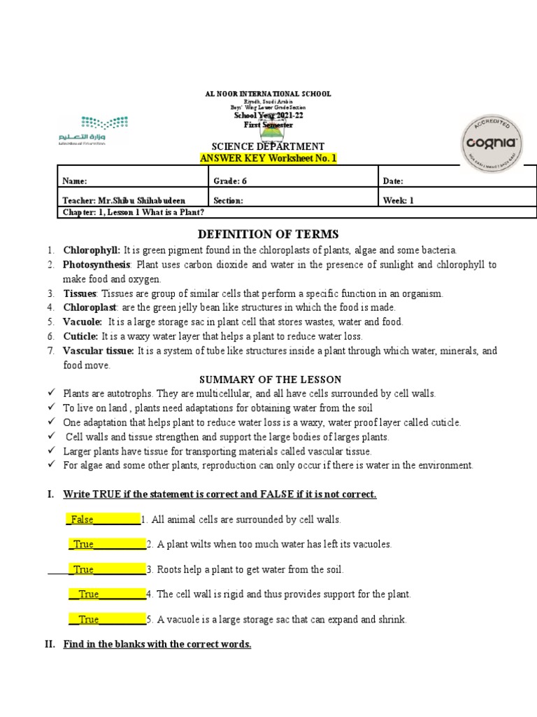 Grade 6 Science Plant Worksheet Answer Key | PDF | Plants | Photosynthesis