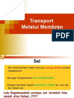 Transport Membrane OK