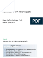 Introduction of DNA Into Living Cells: GBE310, Spring 2015