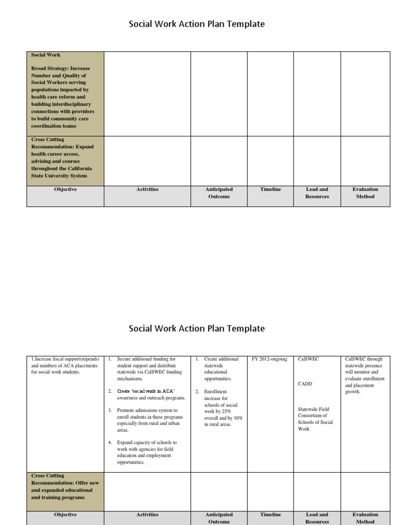 Social Work Action Plan 31612 PDF Social Work Evaluation