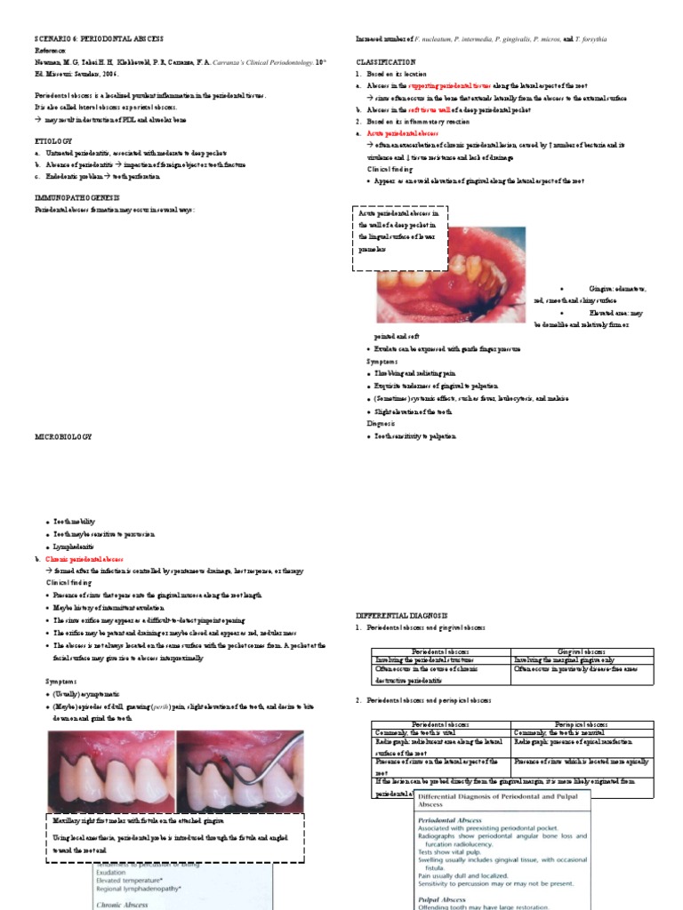 Supporting Periodontal Tissues | PDF | Periodontology | Medicine