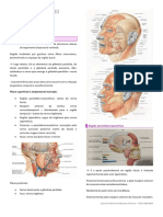 Anato Macro III - MOD VII PDF