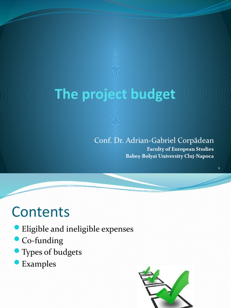 5 The Project Budget | PDF | Payments | Government Finances