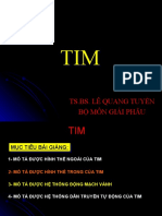 TIM TIM: Ts.Bs. Lê Quang Tuyền Bộ Môn Giải Phẫu