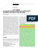 Biodegradation of Phenol in Synthetic An