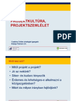 Projektszemlélet