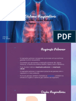 Sistema Respiratório