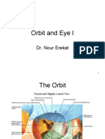 Orbit and Eye I: Dr. Nour Erekat